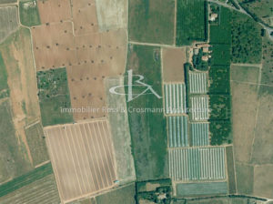 Propriété agricole maraîchage en bio avec cultures bio