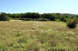 Villa avec dépendances et terrain de plus de 11 689 m²
