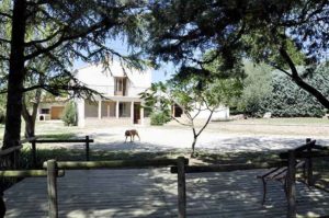 Villa avec dépendances et terrain de plus de 11 689 m²