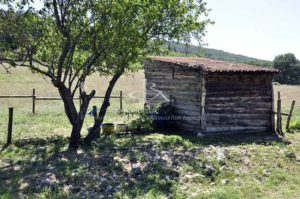 Villa avec dépendances et terrain de plus de 11 689 m²