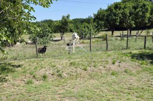 Villa avec dépendances et terrain de plus de 11 689 m²