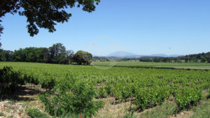 Domaine viticole en Provence avec vignobles et installations modernes