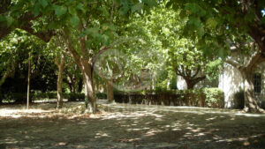 Domaine viticole en Provence avec vignobles et installations modernes