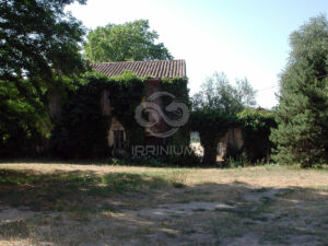 Domaine viticole en Provence avec vignobles et installations modernes