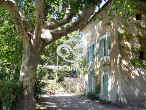 Domaine viticole en Provence avec vignobles et installations modernes
