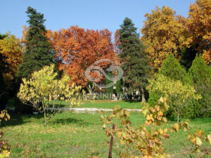 Domaine viticole en Provence avec vignobles et installations modernes