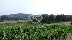 Domaine viticole en Provence avec vignobles et installations modernes