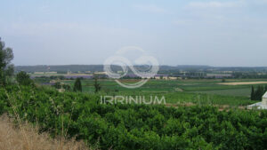 Domaine viticole en Provence avec vignobles et installations modernes