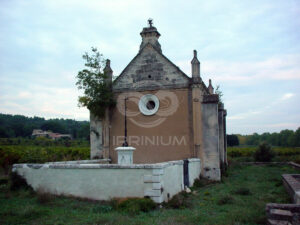 Domaine viticole en Provence avec vignobles et installations modernes