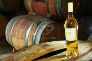 Domaine viticole en Provence avec vignobles et installations modernes
