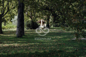 Domaine viticole en Provence avec vignobles et installations modernes