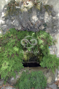 Domaine viticole en Provence avec vignobles et installations modernes