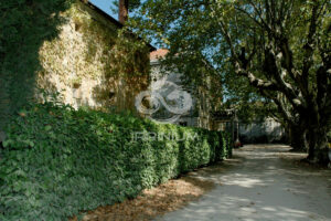 Domaine viticole en Provence avec vignobles et installations modernes