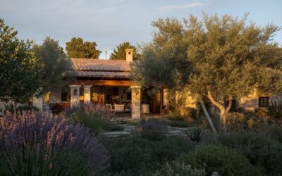 La lumière de fin d’été : un allié pour sublimer votre bien immobilier