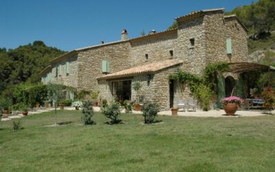 Immobilier durable : comment un lieu énergétiquement aligné attire naturellement ses habitants