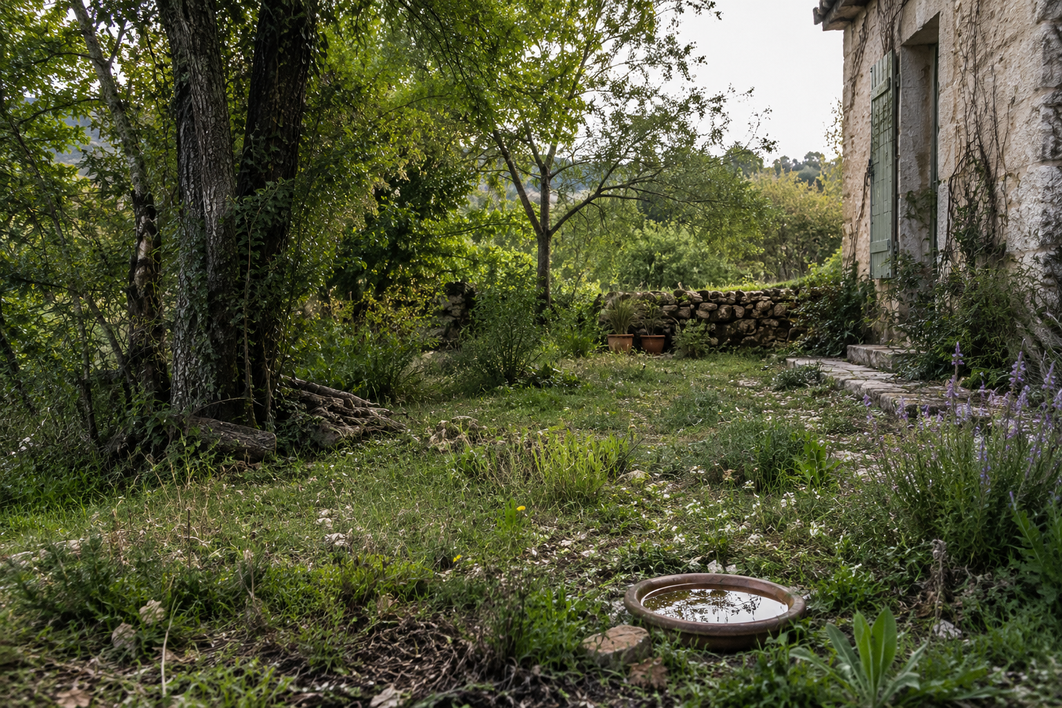 Wildlife and garden: creating a welcoming ecosystem on your property